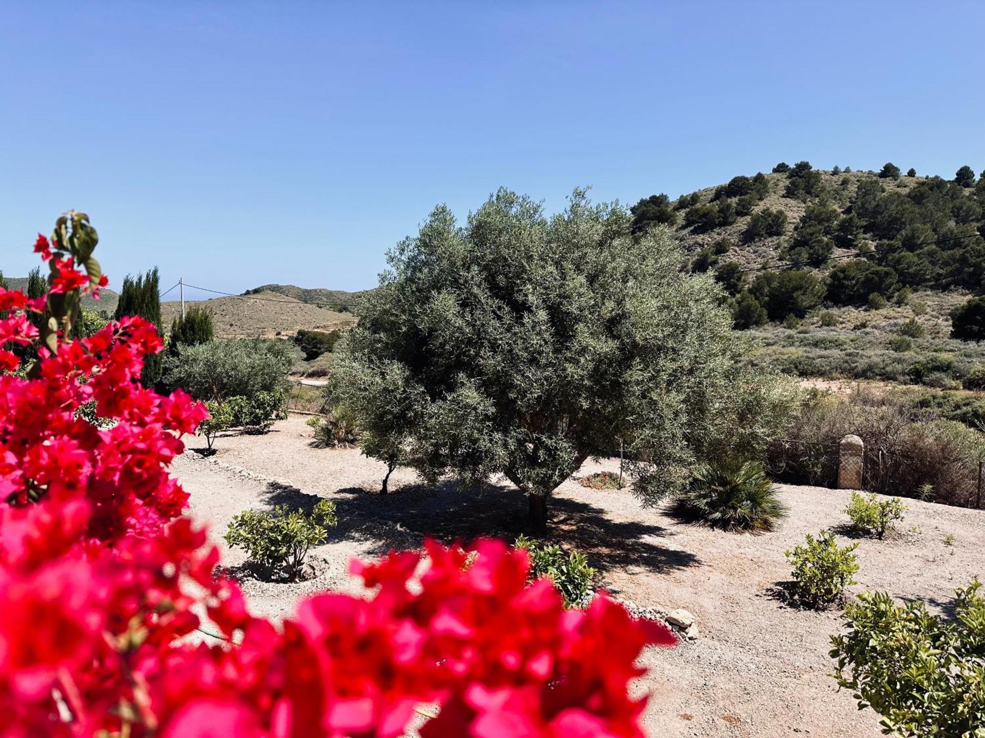 Finca Ocha - Calblanque Лос-Белонес Екстер'єр фото