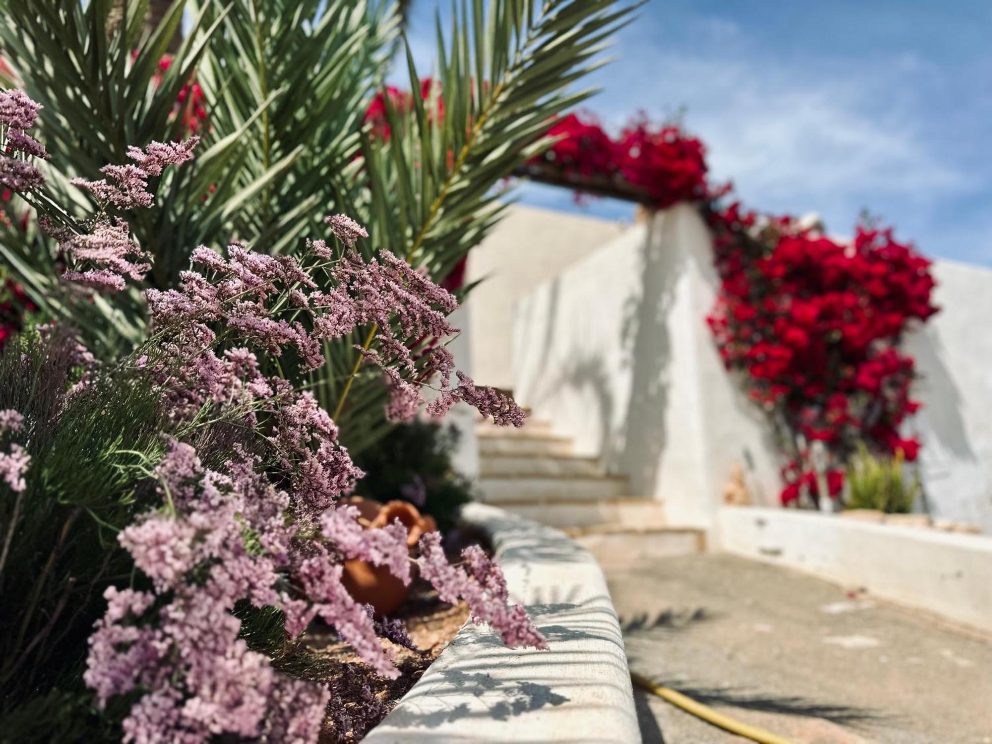 Finca Ocha - Calblanque Лос-Белонес Екстер'єр фото