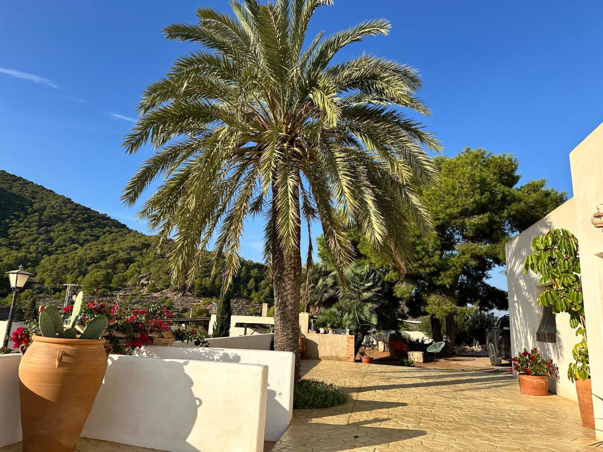 Finca Ocha - Calblanque Лос-Белонес Екстер'єр фото