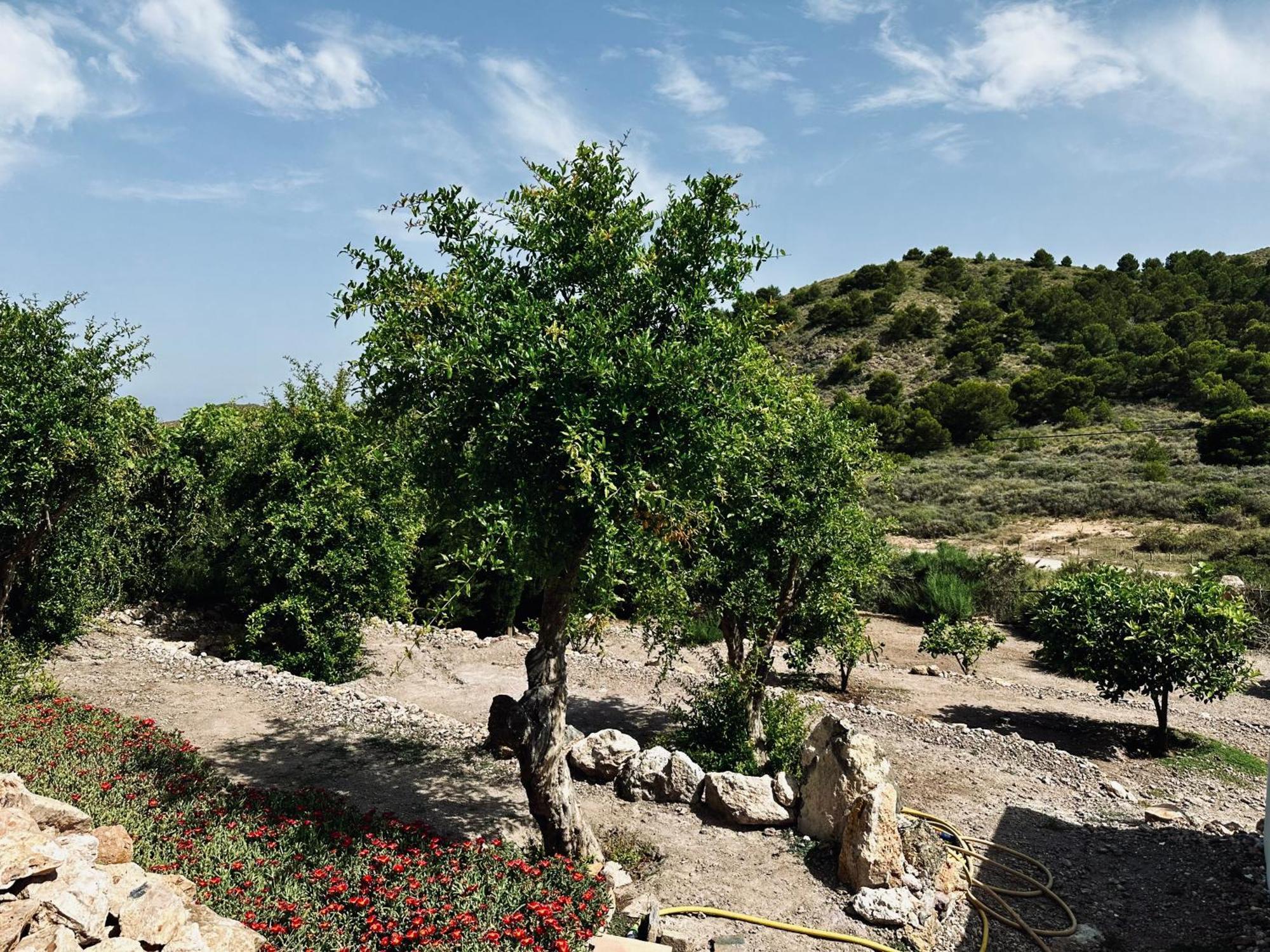 Finca Ocha - Calblanque Лос-Белонес Екстер'єр фото
