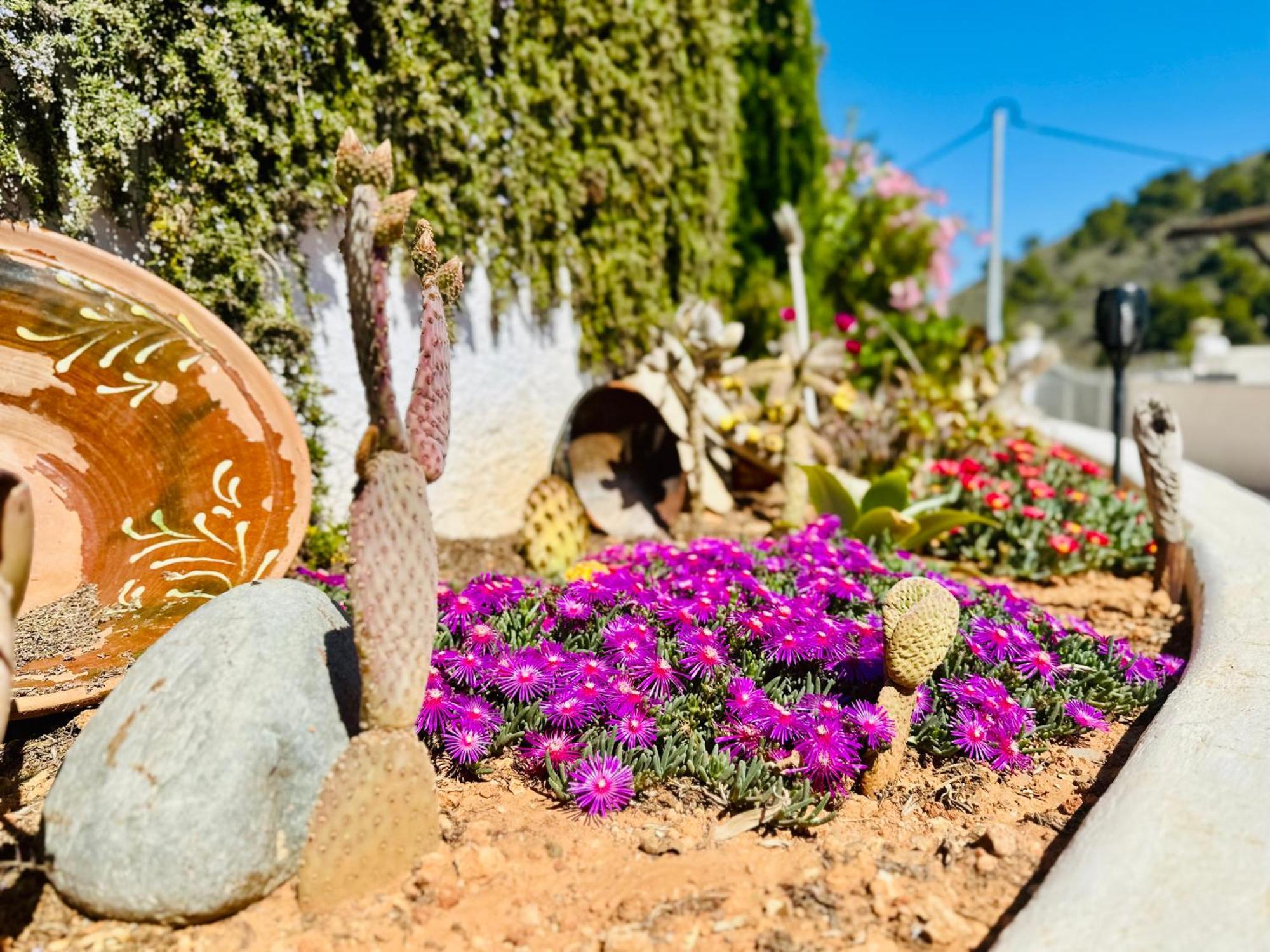Finca Ocha - Calblanque Лос-Белонес Екстер'єр фото