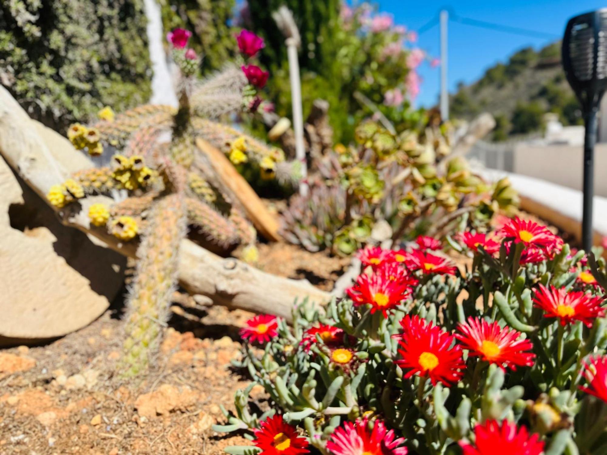 Finca Ocha - Calblanque Лос-Белонес Екстер'єр фото