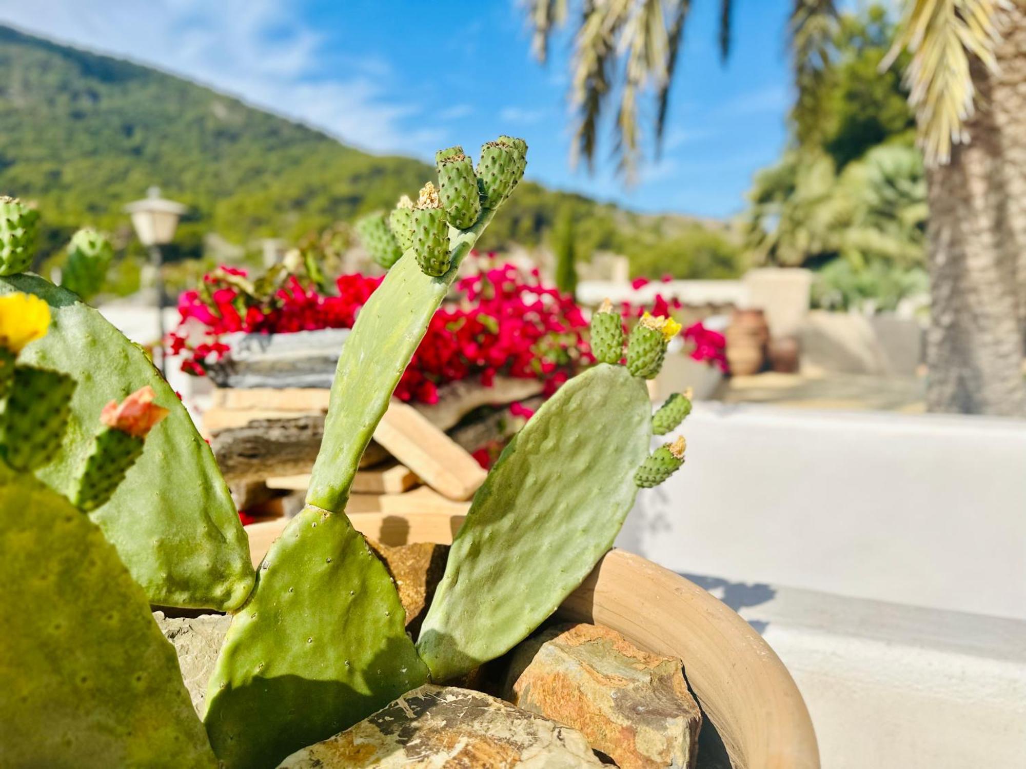 Finca Ocha - Calblanque Лос-Белонес Екстер'єр фото