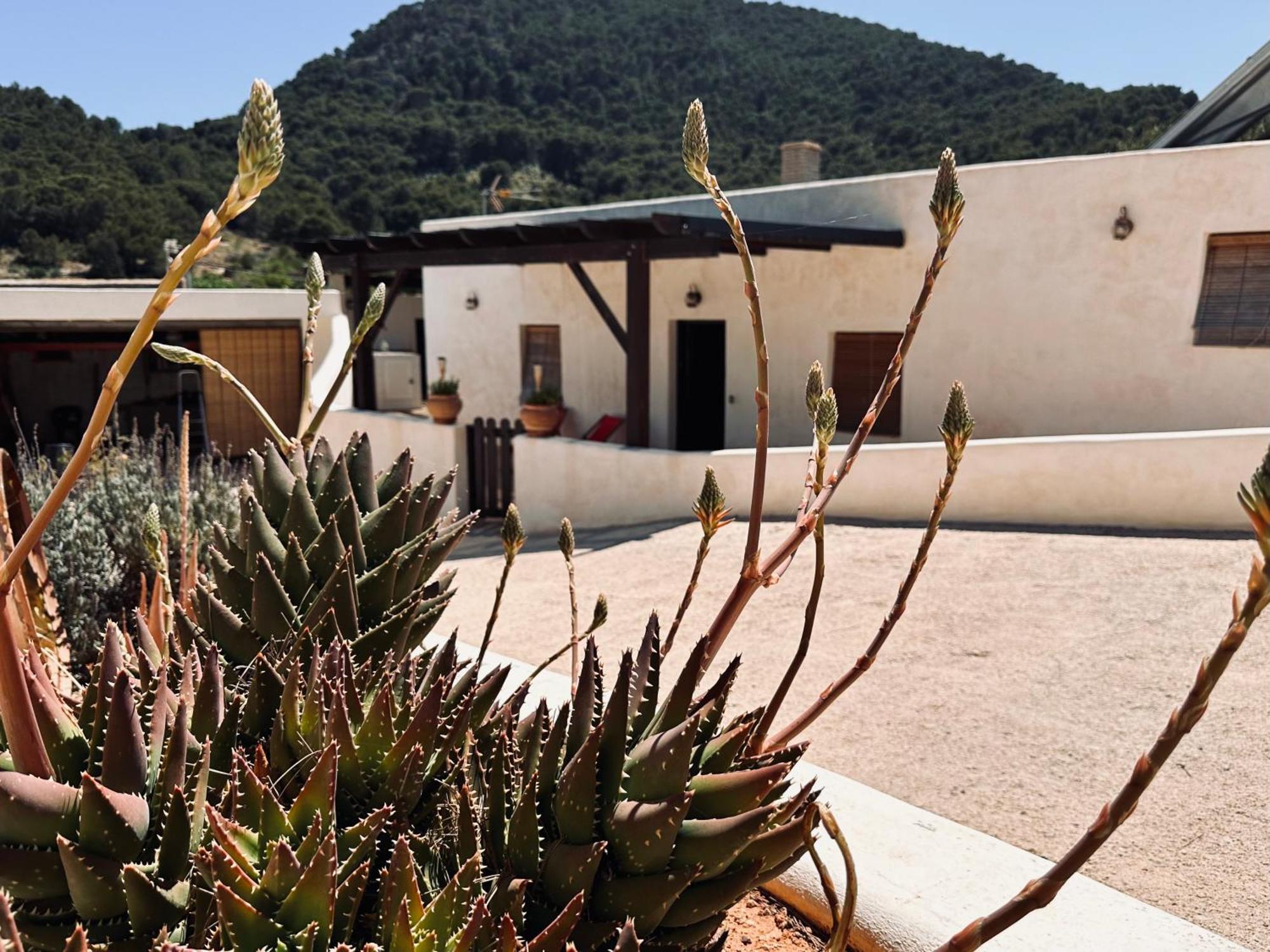 Finca Ocha - Calblanque Лос-Белонес Екстер'єр фото